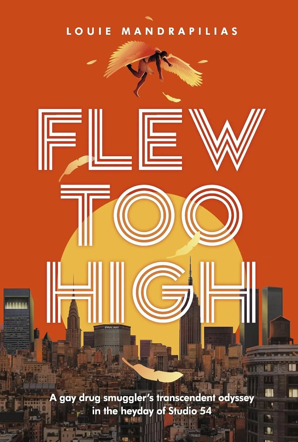 Flew Too High book cover